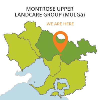 montrose upper MULGa area map