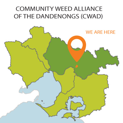Community Weed Alliance of the Dandenongs map